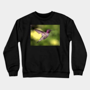 Anna's Hummingbird in Flight Crewneck Sweatshirt